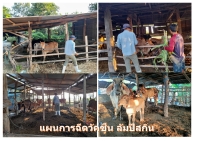 องค์การบริหารส่วนตำบลสระแก้ว